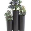 EUROPALMS Succulent trio, 43cm