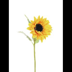 EUROPALMS Sunflower, 70cm