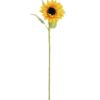 EUROPALMS Sunflower, 70cm