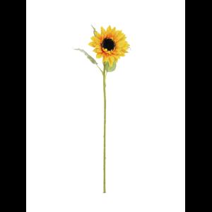 EUROPALMS Sunflower, 70cm