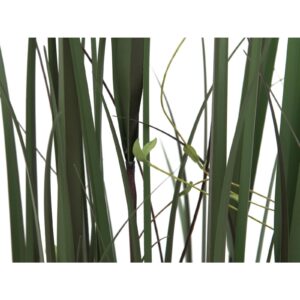 EUROPALMS Willow branch grass, 183cm