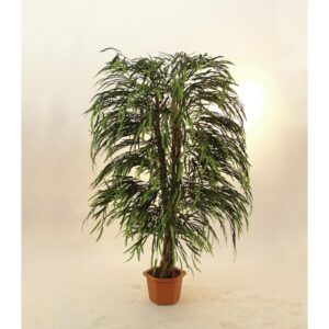 EUROPALMS Willow tree multi leaf, 215cm