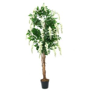 EUROPALMS Wisteria, white, 150cm