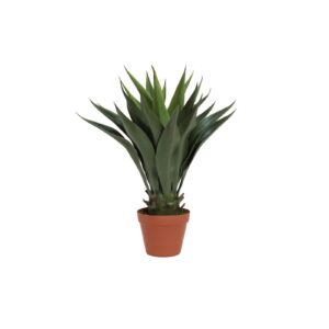 EUROPALMS Yucca bush, dark green, 50cm