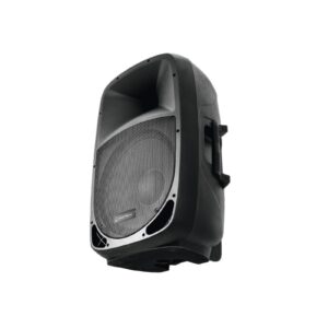 OMNITRONIC VFM-208 2-Way Speaker