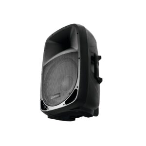 OMNITRONIC VFM-212 2-Way Speaker