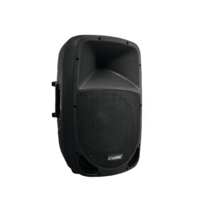 OMNITRONIC VFM-215 2-Way Speaker