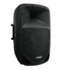 OMNITRONIC VFM-215AP 2-Way Speaker, active