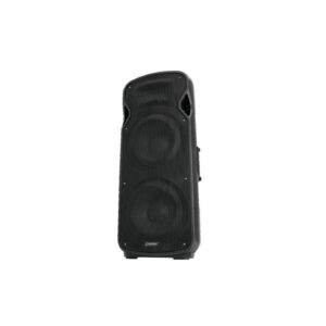 OMNITRONIC VFM-2212 2-Way Speaker