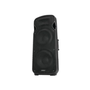 OMNITRONIC VFM-2215 2-Way Speaker