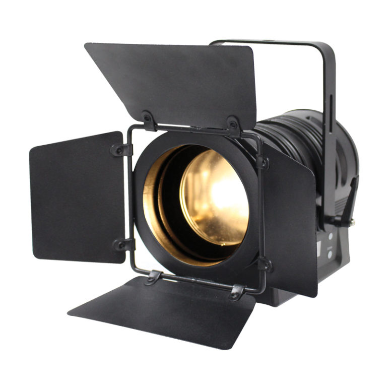 MP 60 LED Fresnel WW