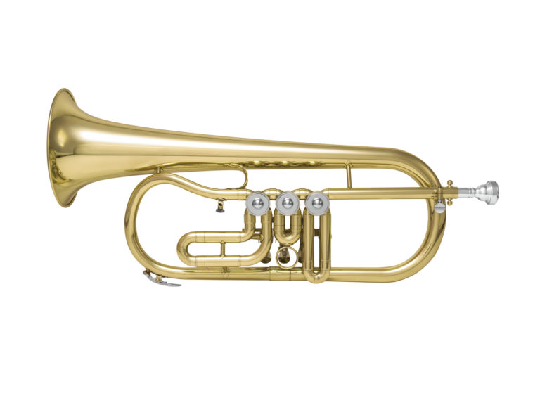 DIMAVERY FH-310D Bb Flugelhorn rotary val