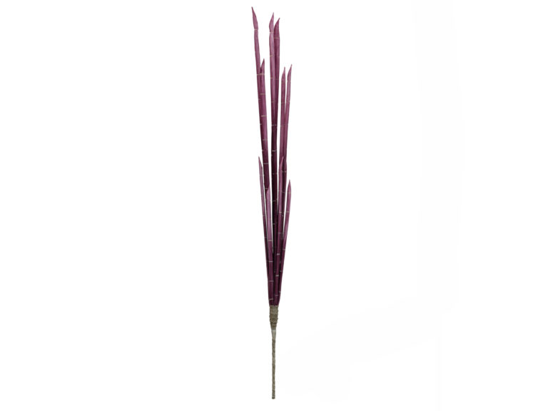 EUROPALMS Magic Onion Stalks, rose, 134cm