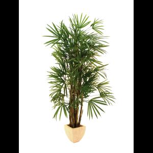 EUROPALMS Lady palm, 150cm