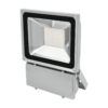 EUROLITE LED IP FL-100 6400K