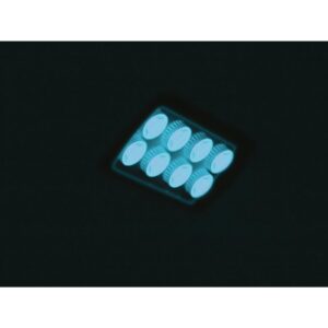 EUROLITE LED IP FL-8 blue 60°