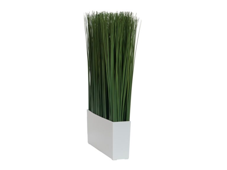 EUROPALMS Marram grass, 50x27cm