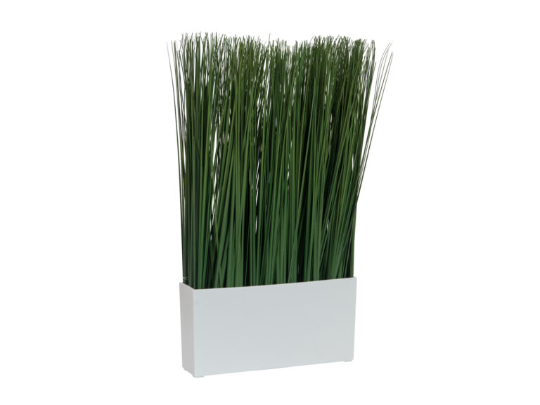 EUROPALMS Marram grass, 50x27cm