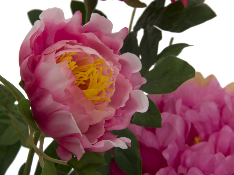 EUROPALMS Peonies, rose, 90cm