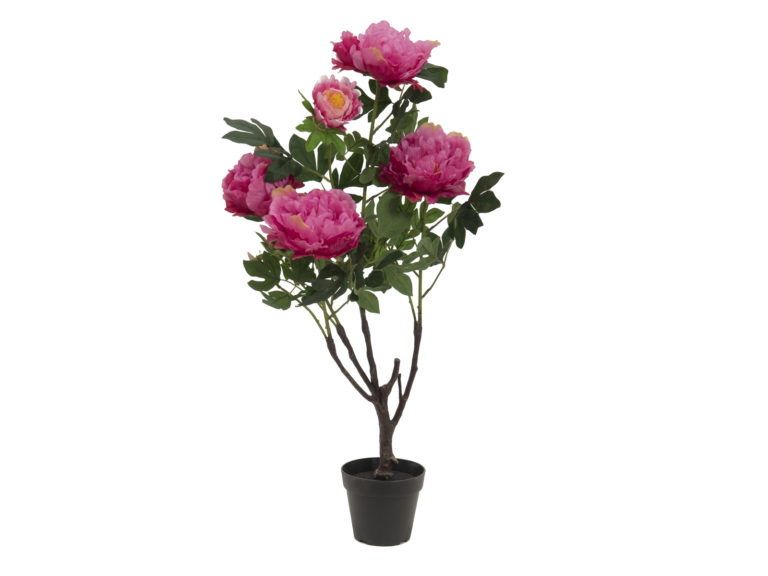 EUROPALMS Peonies, rose, 90cm