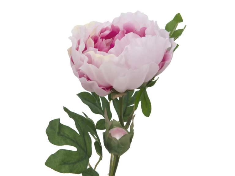 EUROPALMS Peony Branch Classic, pink, 80cm