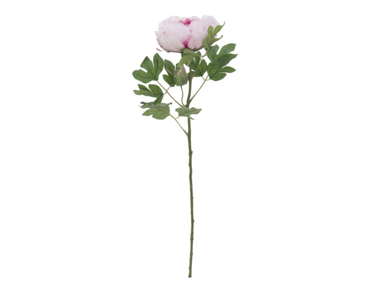 EUROPALMS Peony Branch Classic, pink, 80cm