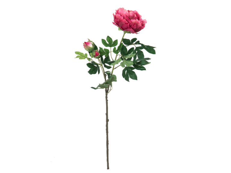 EUROPALMS Peony Branch Premium, magenta, 100cm