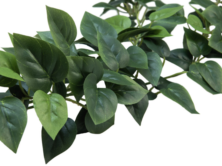 EUROPALMS Philodendron Garland Classic, 180cm