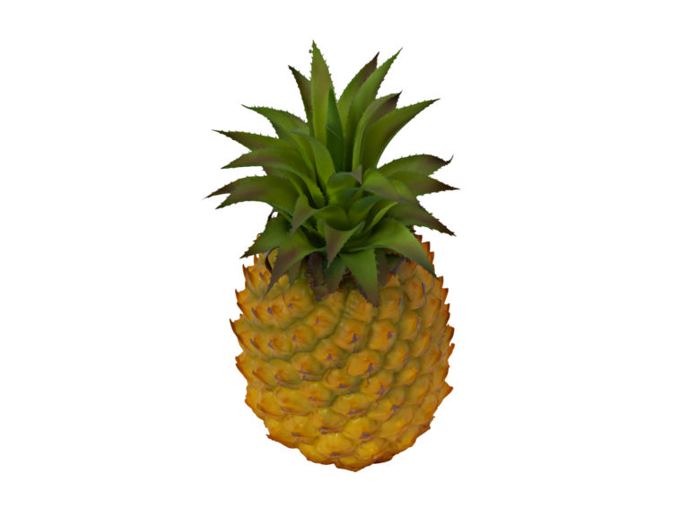 EUROPALMS Pineapple, 26cm