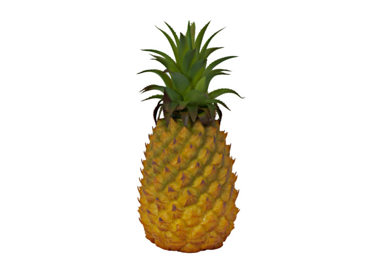 EUROPALMS Pineapple, 26cm