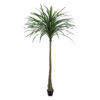 EUROPALMS Dracena, green, 220cm