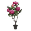 EUROPALMS Peonies, rose, 90cm