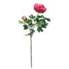 EUROPALMS Peony Branch Premium, magenta, 100cm