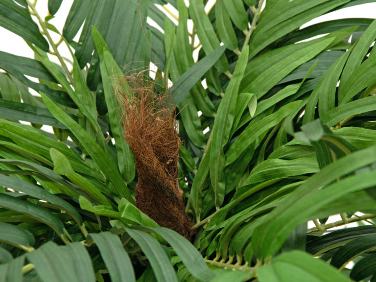 EUROPALMS Areca palm, artificial plant, 140cm