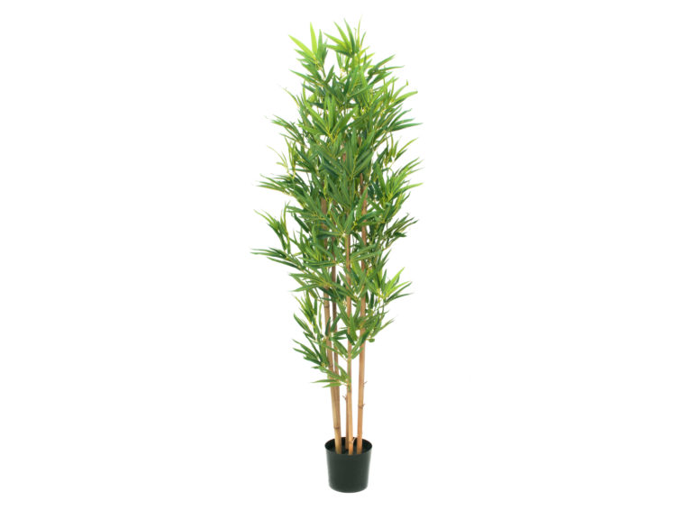 EUROPALMS Bamboo deluxe, artificial plant, 150cm