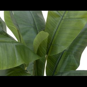 EUROPALMS Banana tree, artificial plant, 120cm