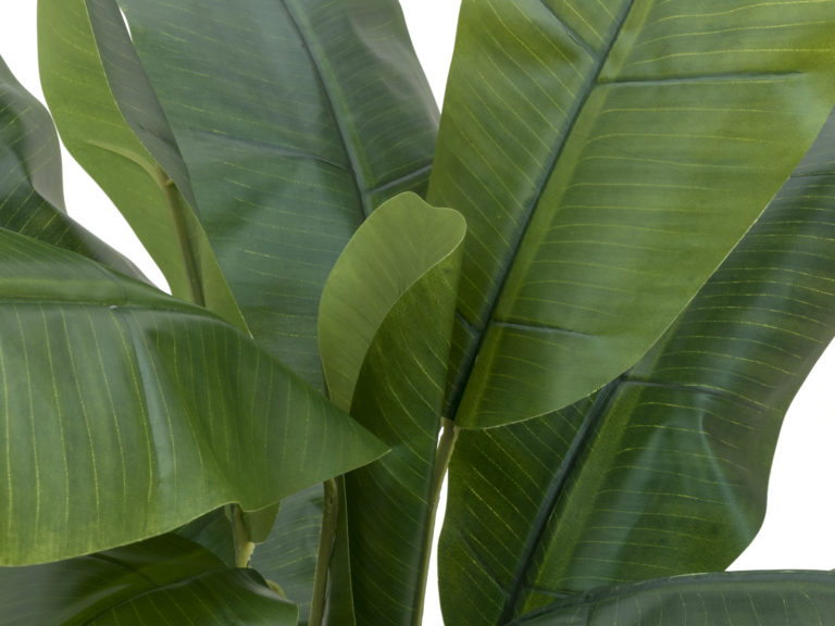 EUROPALMS Banana tree, artificial plant, 120cm