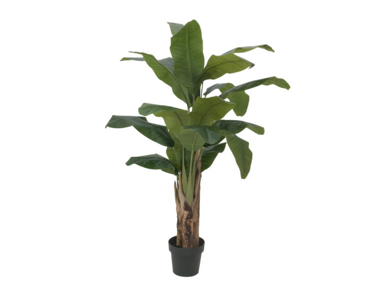 EUROPALMS Banana tree, artificial plant, 120cm