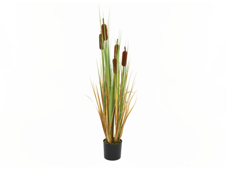 EUROPALMS Bulrush, alrtificial plant, 150cm