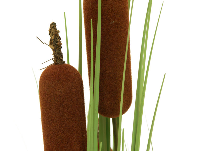 EUROPALMS Bulrush, alrtificial plant, 150cm