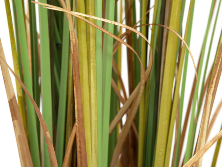 EUROPALMS Bulrush, alrtificial plant, 150cm