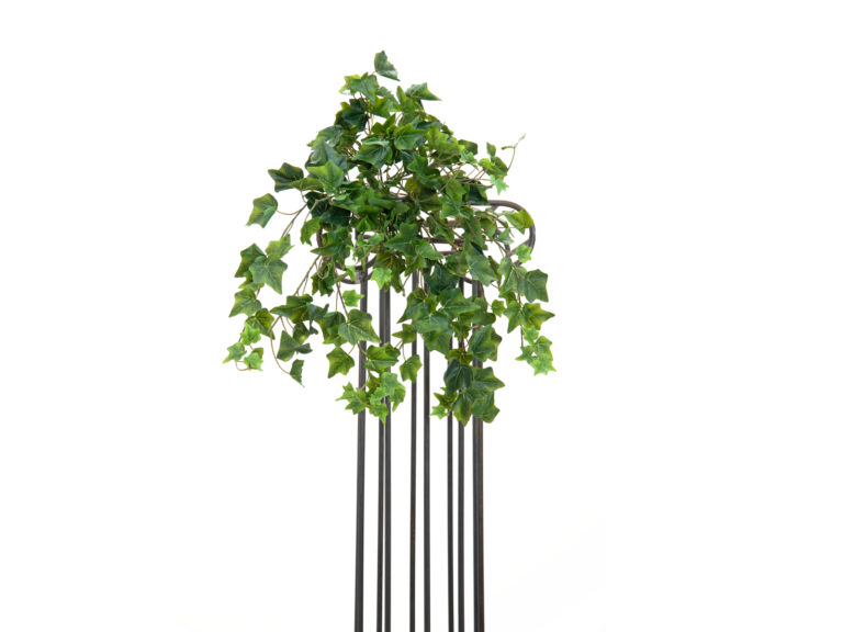 EUROPALMS Ivy Bush,  Premium, 50cm