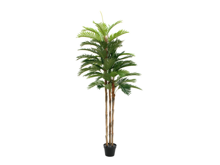 EUROPALMS Kentia palm tree, artificial plant, 180cm