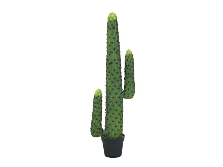 EUROPALMS Mexican cactus, artificial plant, green, 117cm