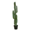 EUROPALMS Mexican cactus, artificial plant, green, 123cm