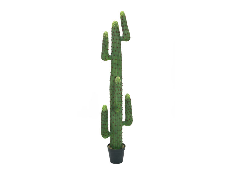 EUROPALMS Mexican cactus, artificial plant, green, 173cm