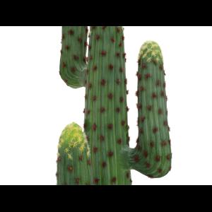 EUROPALMS Mexican cactus, artificial plant, green, 173cm