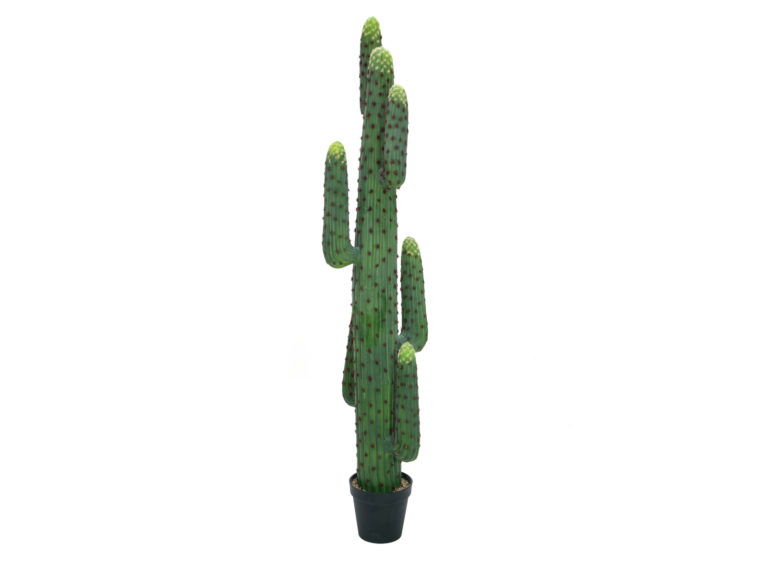 EUROPALMS Mexican cactus, artificial plant, green, 173cm