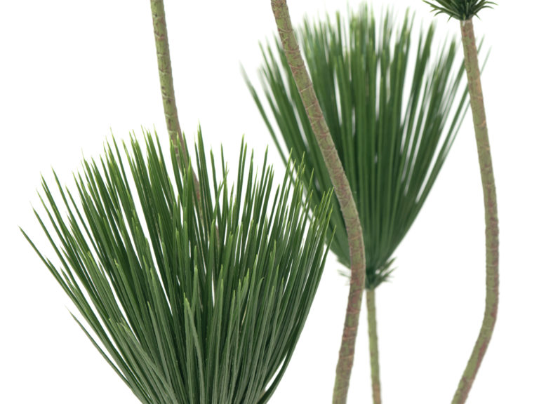 EUROPALMS Papyrus plant, artificial plant, 130cm