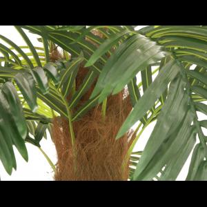 EUROPALMS Phoenix palm deluxe, artificial plant, 250cm